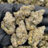 Garlic Pop Rocks cannabis strain