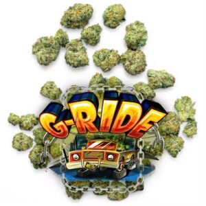 Explore G-RIDE by Jungle Boys, a Motor Breath × I95 cannabis flower with sour, earthy, and kush-inspired aromas. Discover its terpene profile and properties.