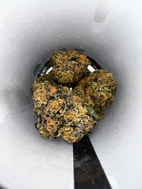 PREFERRED GARDENS Cannabis Flower
