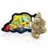 Big Boy DRO Cannabis Flower is a cannabis flower product associated with the “Big Boy” name and DRO-style cultivation. This informational overview covers its general flower characteristics, aroma, appearance, and product presentation.